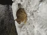 IMG_20250208_184618519