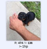 1728527632446715