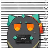 duskballarrested