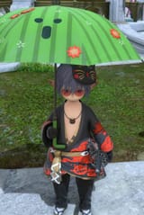 ffxiv_dx11_eIifVc6juJ