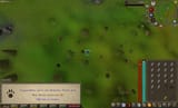 Hunter(13) 2025-07-08_16-42-04