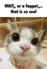 GgKWwqPXsAAQboU