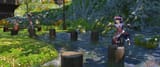 Posts
