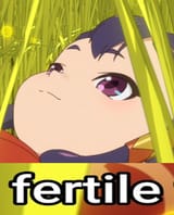 1731598105003501
