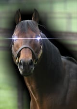 1743251460284