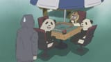 new mahjong anime