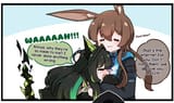 Amiyamama2