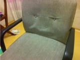 smug chair