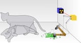 Slurper&#039;s catbox
