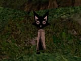 Fatum Betula cat