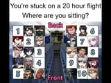 flight