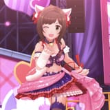 love cat