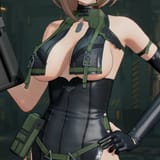 hawk12