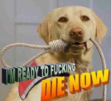 1736626149822436