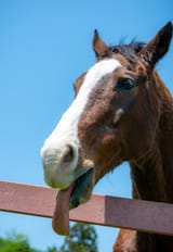 IMG_1548