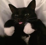 EsGglZKVcAoOT2t