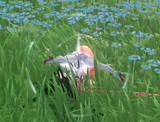 upa