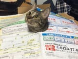 1721059088292536