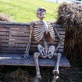 1735018290218197