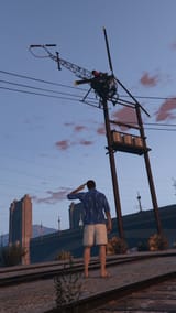 sparrow on pole