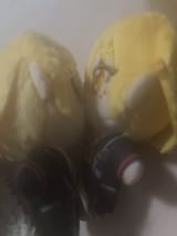 17511221220241