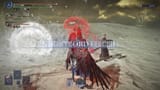 dead horse