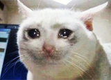 mfw no googoo