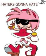 Amy-rose-sonic-the-hedgehog-38759944-1304-1600