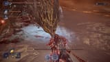 down dog 3