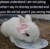 GKwXgfQXcAAWCjP