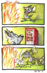 fire glass