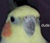 67786567897