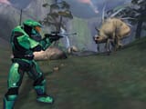 Halo_thorn_beast