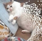 1523998597574