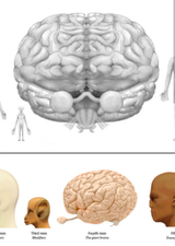 Screenshot_20250708-175616