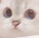 5688