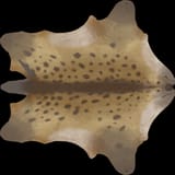 hyena2