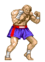 sagat-sf2-stance1