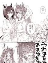 __agnes_tachyon_daiwa_scarlet_and_eishin_flash_umamusume_drawn_by_loveloveknight__b564d2ff211684bb6fc1dc7b35a5a73d