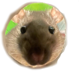 1740174764102155