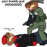 bredddd