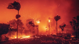 wild fire