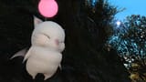 kupo
