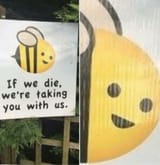 FljAWlyWAAAAfoy