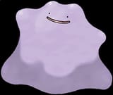 ditto