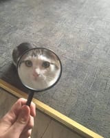 1489594062193