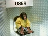 monkeyuser