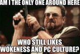 1752051246145113.png