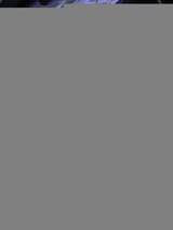 1047c895100c213b071f6d4ccade4ab3