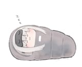 @kure_25 zzz